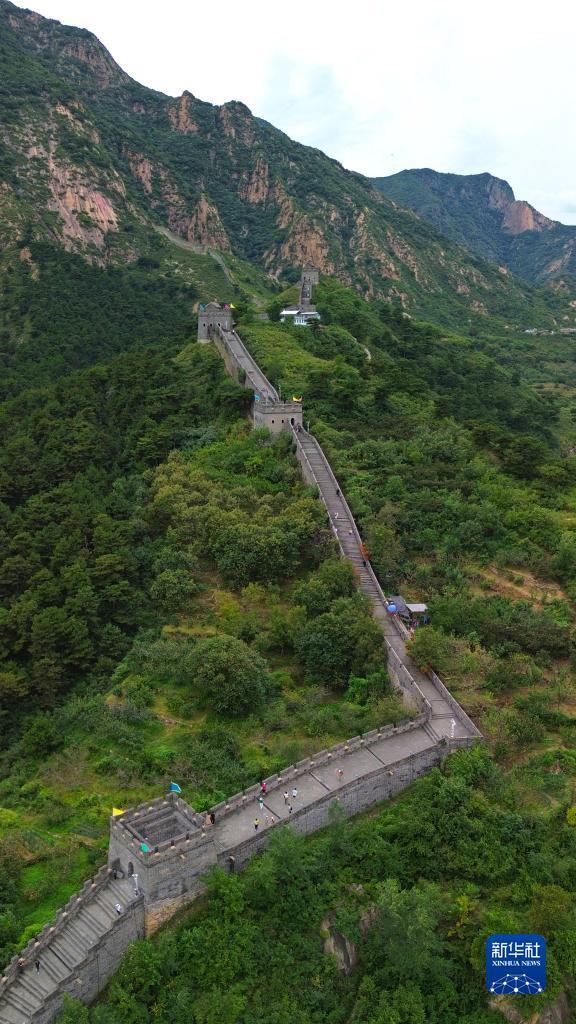 188大赢家大比分